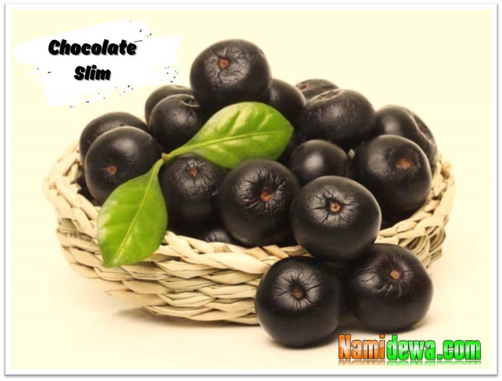 Thành phần tự nhiên của Chocolate Slim - quả Acai Berries - Cọ Nam Mỹ.