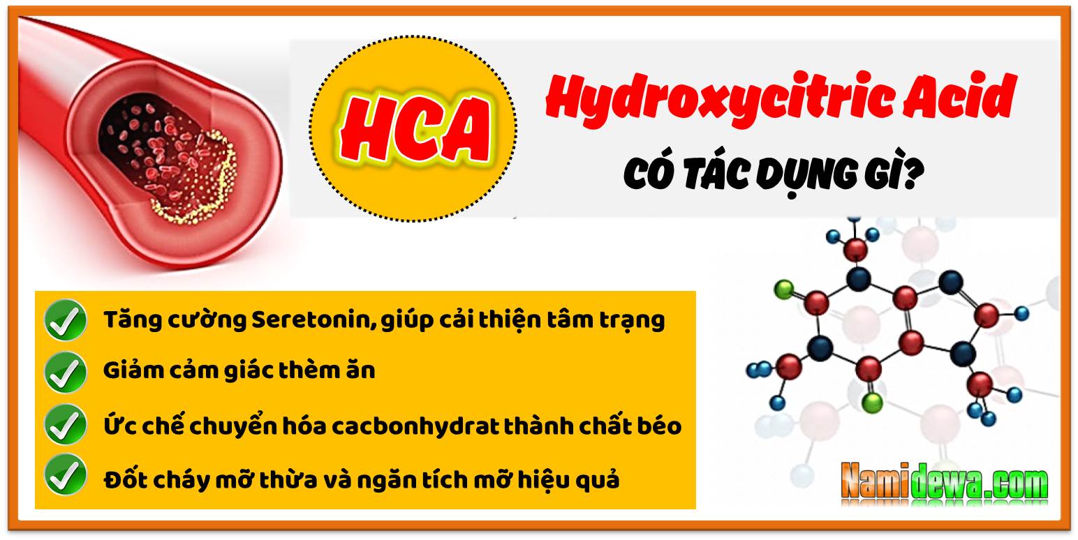 Hợp Chất Sinh Học HCA (Hydroxycitric Acid) Từ Quả Nụ - Thành Phần Viên Uống Giảm Cân Garcinia.