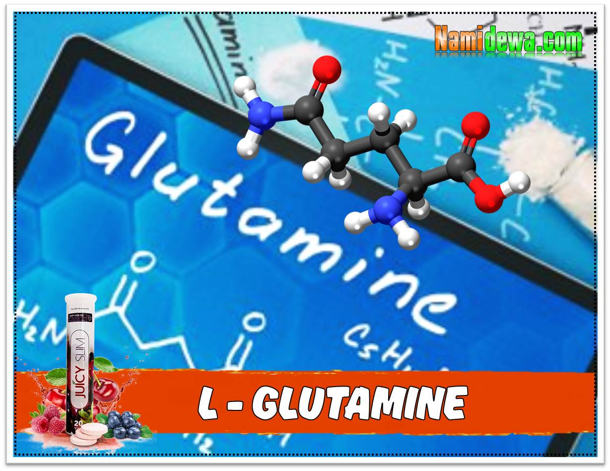 L-Glutamine - Thành phần chính của Viên sủi giảm cân Juicy Slim.