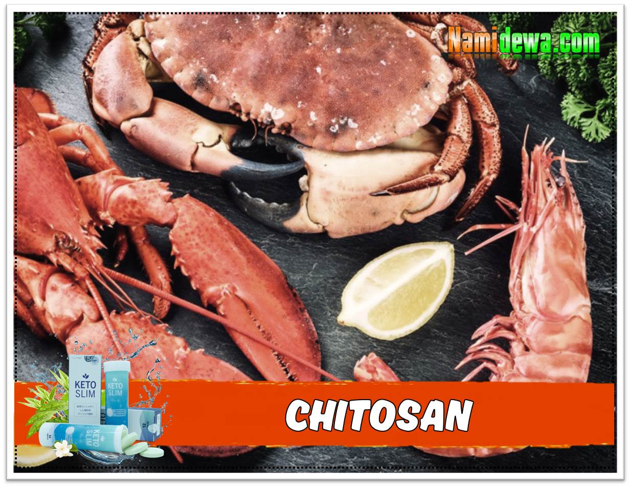 Chitosan là loại chất xơ hòa tan có trong động vật giúp hỗ trợ giảm cân.