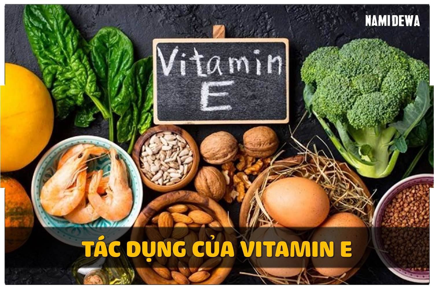 Vitamin E  Có Tác Dụng Gì Đối Với Sức Khỏe?